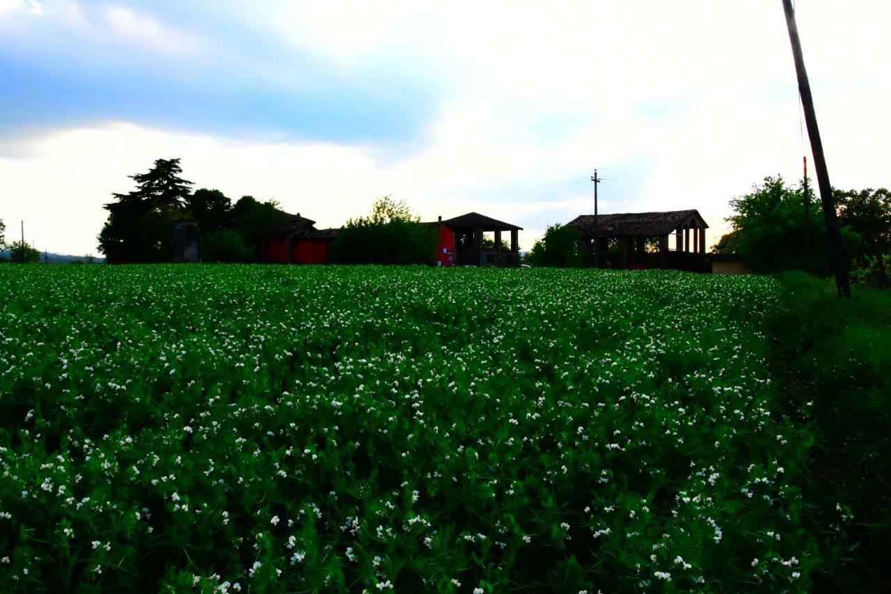 Casarossa Villa Rivergaro Luaran gambar